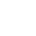 Phoenicia Plumbers